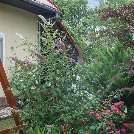Apartman Stunning In W/ Wifi And 3 Bedrooms